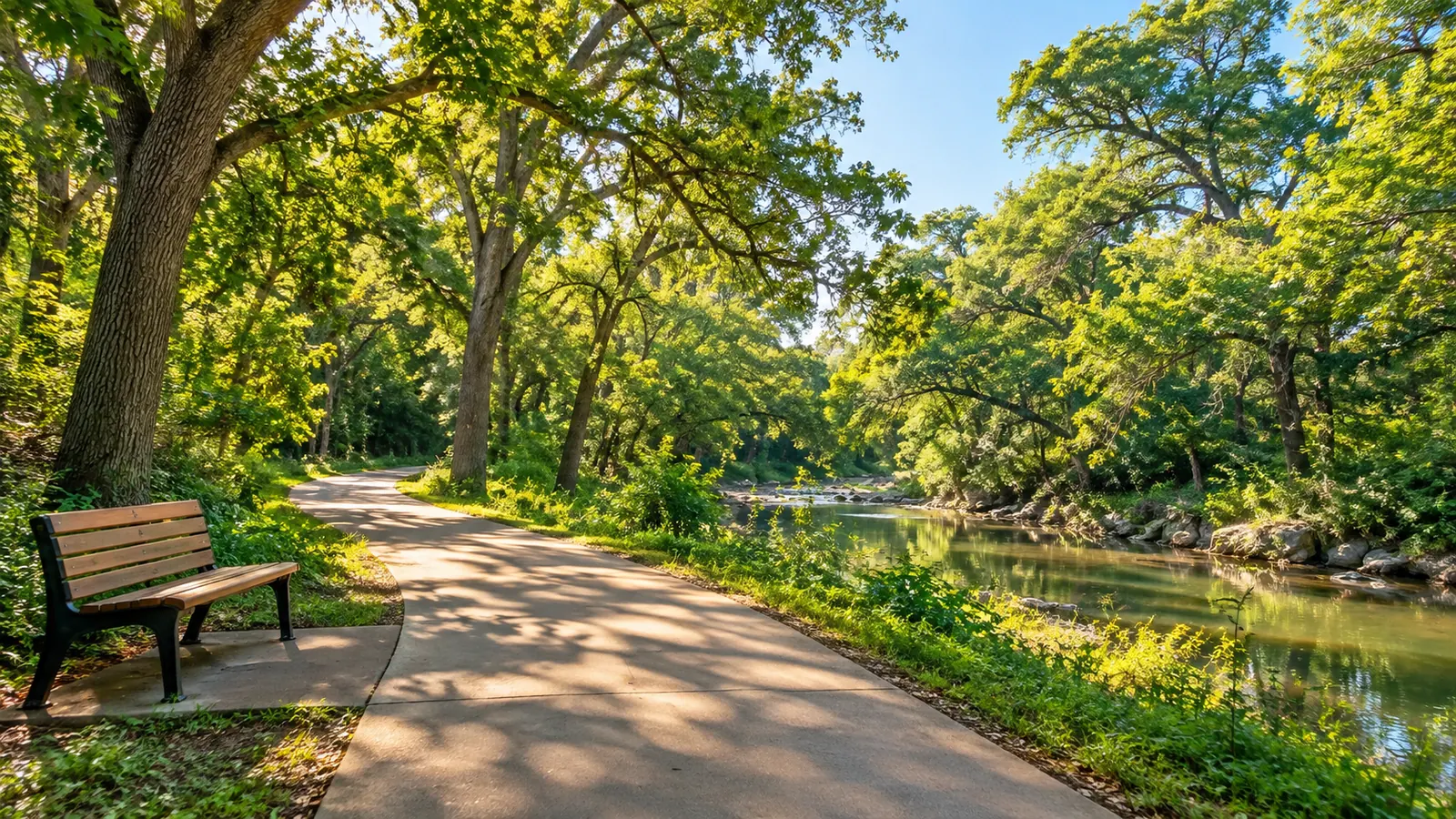 A wide paved trail curving along a creek through tall pecan and cedar elm trees, an empty wooden bench, dappled morning sun